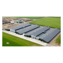 Low Price Hight Quality Prefabricated Steel Structure Broiler/Poultry Farm Chicken House